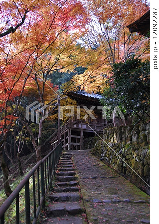 京都愛宕念仏寺の紅葉風景 京都愛宕念仏寺の紅葉風景 12092287