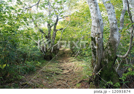 猫魔岳登山道 12093874