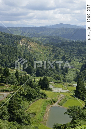 山古志 棚田・棚池 山古志 棚田・棚池 12094237