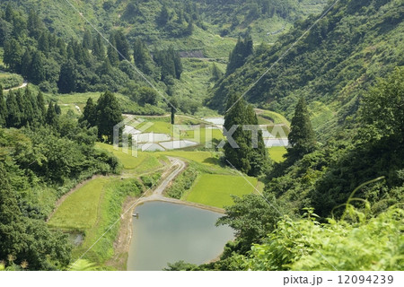 山古志 棚田・棚池 山古志 棚田・棚池 12094239