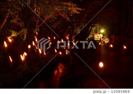 丸池感謝の夕べ 12095869