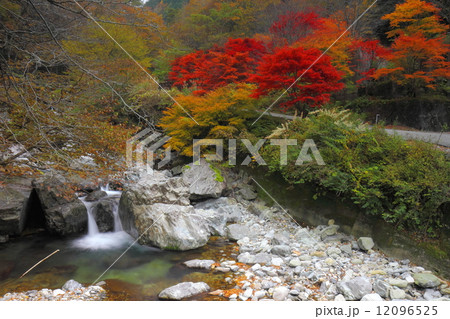 紅葉のみたらい渓谷 12096525