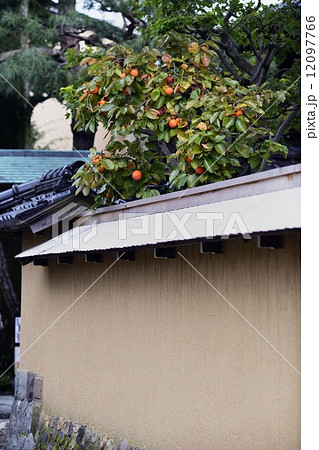 長町武家屋敷、秋 12097766