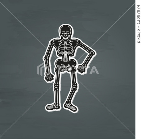 black skeleton 12097974