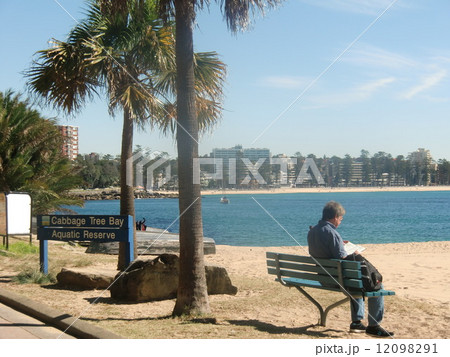 ShellyBeachで本を読む人 12098291