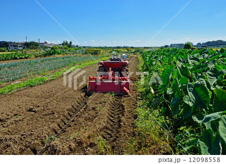 見沼田圃・農地　上山口新田 12098558