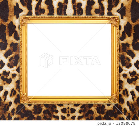 blank golden frame with leopard texture 12098679