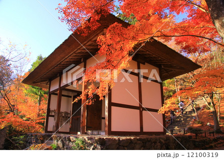 常寂光寺・仁王門(京都)の紅葉 常寂光寺・仁王門(京都)の紅葉 12100319