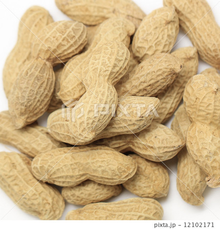 Dried peanut Dried peanut 12102171