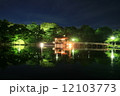浮見堂と鷺池の夜景(奈良県奈良市) 浮見堂と鷺池の夜景(奈良県奈良市) 12103773