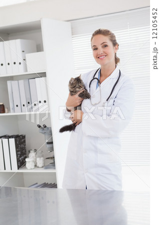Vet examining a small cat Vet examining a small cat 12105452