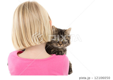 Cute girl holding grey kitten 12106050