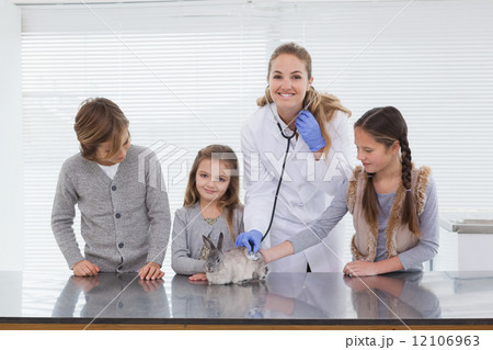 Vet examining a bunny rabbit 12106963