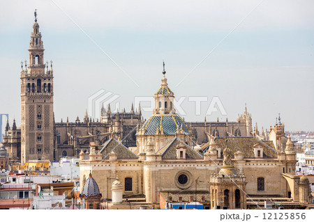 Seville Cathedral Spain 12125856