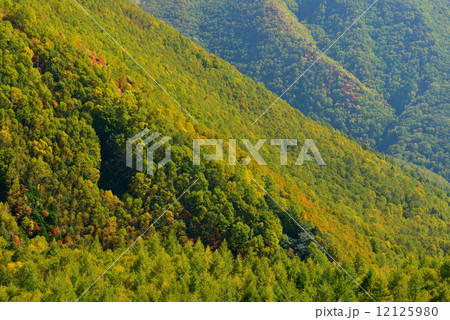志賀高原の紅葉 志賀高原の紅葉 12125980