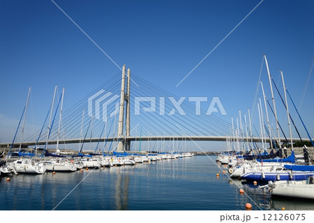 マリーナと高架橋 マリーナと高架橋 12126075