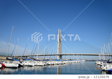 マリーナと高架橋 12126076