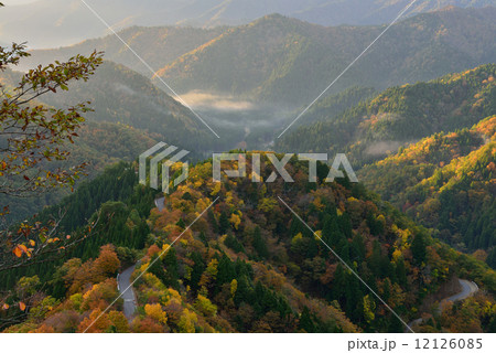 小入峠の紅葉 小入峠の紅葉 12126085