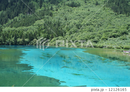 世界遺産・九寨溝の五花海の風景 世界遺産・九寨溝の五花海の風景 12126165