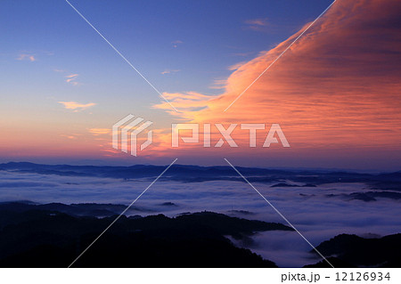 雲海８９３ 12126934
