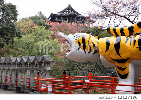 朝護孫子寺の大寅 朝護孫子寺の大寅 12127186