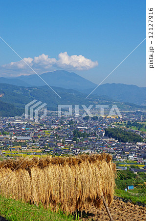 姨捨の棚田 はぜ掛け 姨捨の棚田 はぜ掛け 12127916