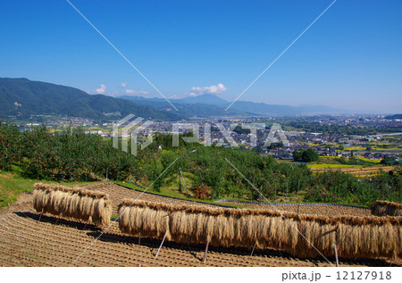 姨捨の棚田　はぜ掛け 12127918