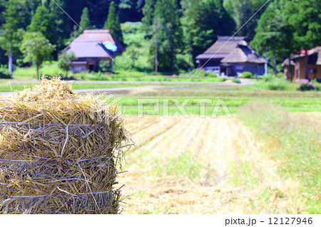 里山の秋 里山の秋 12127946