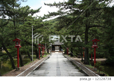 吉備津彦神社にて（参道） 12128738