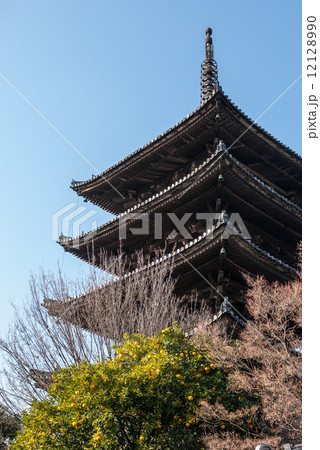 八坂の塔　法観寺 12128990