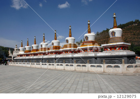 チベット寺院タール寺（西藏寺院塔爾寺） 12129075