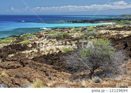 big island hawaii lava and sea 12129694