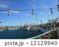 イカ釣り船(北海道) イカ釣り船(北海道) 12129940
