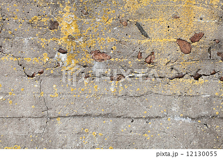 Old dark concrete wall with yellow lichen background texture 12130055