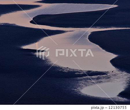 新舞子の干潟 新舞子の干潟 12130755