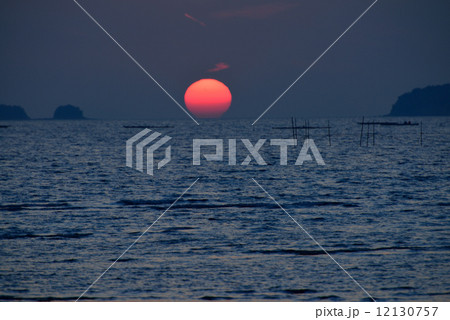 新舞子の干潟 新舞子の干潟 12130757