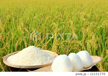 豊作の秋と新米の塩むすび 12131770