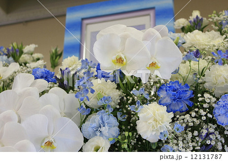 お別れ会 お別れ会 12131787