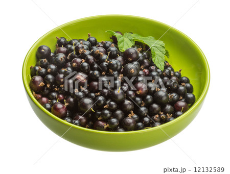Black currant 12132589