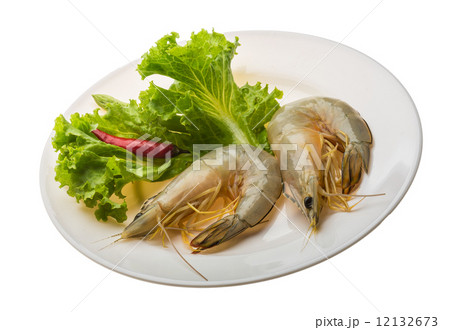 Tiger prawn Tiger prawn 12132673