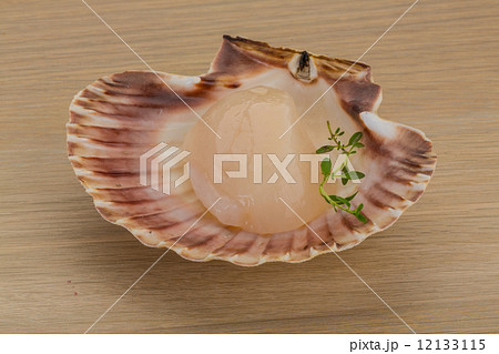Raw scallops 12133115