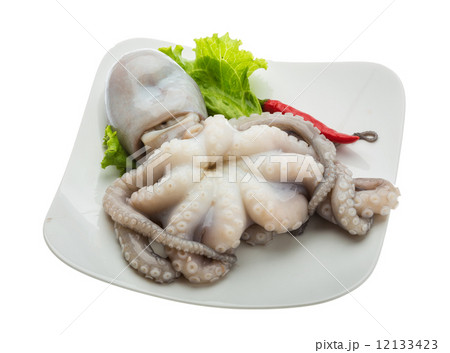 Raw octopus Raw octopus 12133423