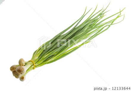 Green onion Green onion 12133644