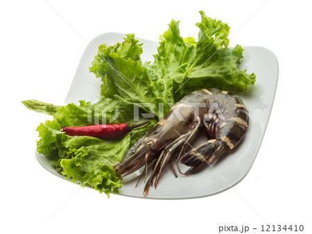 Tiger prawn Tiger prawn 12134410