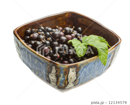 Black currant Black currant 12134579