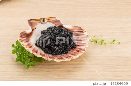 Black caviar Black caviar 12134609