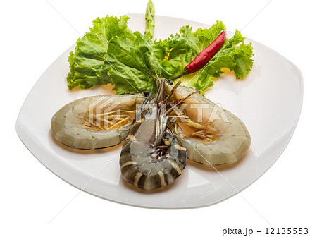 King and waterleg shrimps King and waterleg shrimps 12135553