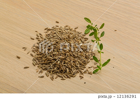Zia seeds 12136291