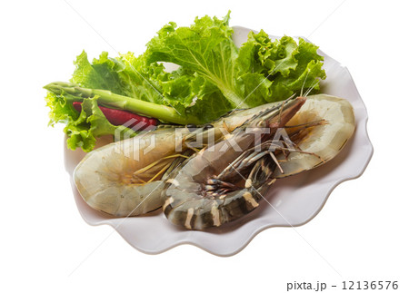King and waterleg shrimps King and waterleg shrimps 12136576