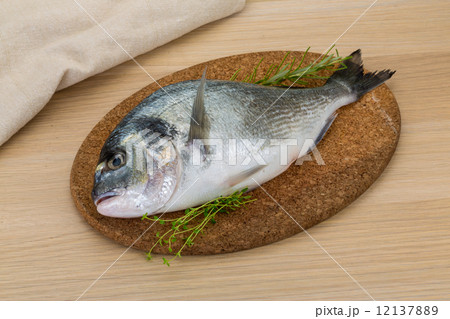 Raw dorado 12137889